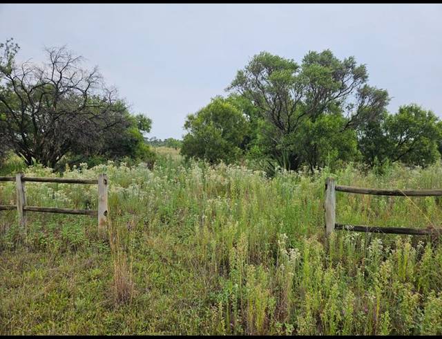 FARM FOR SALE IN LANSERIA